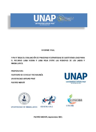 Informe final
