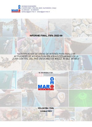 Informe final