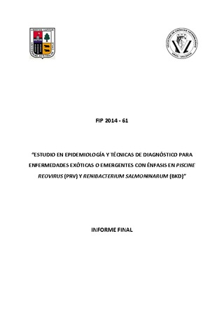Informe final
