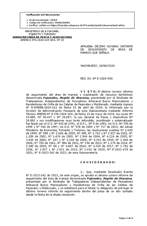 RES. EX. Nº E-2024-508 Aprueba décimo noveno informe de seguimiento. (Publicado en Página Web 19-06-2024)