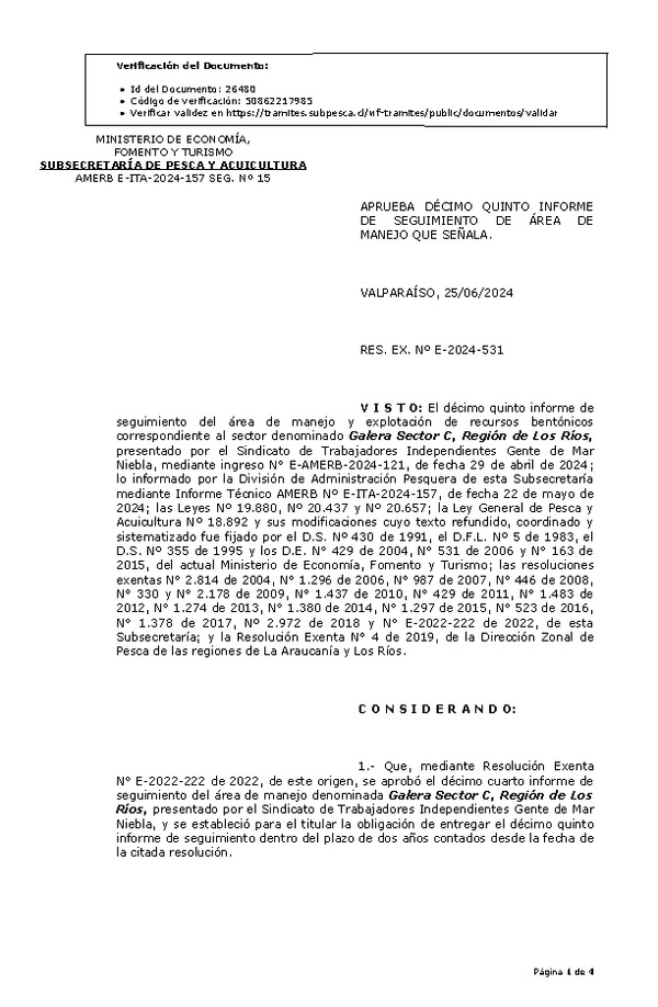RESOL. EXENTA Nº E-2024-531 Aprueba décimo quinto informe de seguimiento. (Publicado en Página Web 26-06-2024)