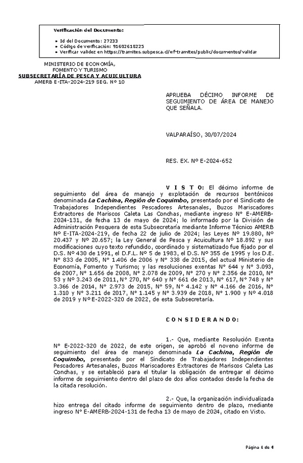 RES. EX. Nº E-2024-652 Aprueba décimo informe de seguimiento. (Publicado en Página Web 31-07-2024)
