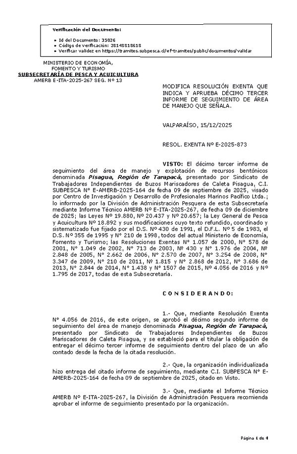 RESOL. EXENTA Nº E-2025-873 Modifica resolución que indica, aprueba décimo tercer informe de seguimiento. (Publicado en Página Web 17-12-2025)