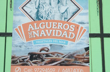 Algueras de Navidad