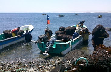 Bahía Chasco