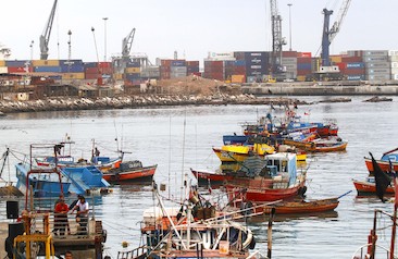 Caleta Cavancha
